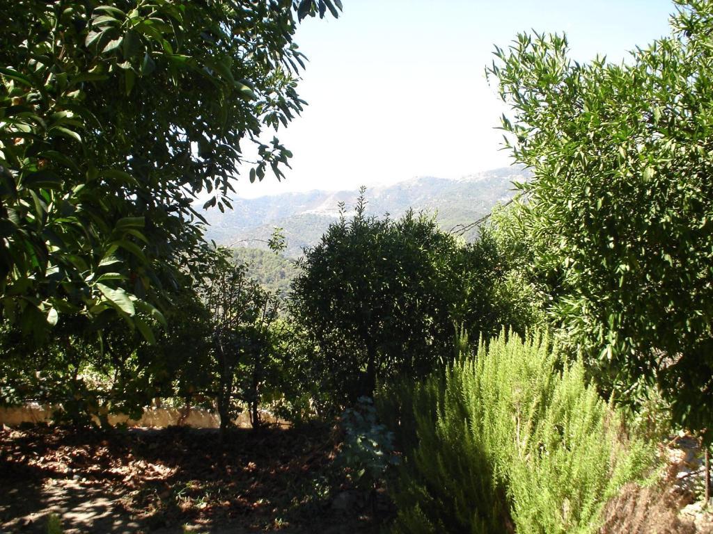 Posada Mirador De Jubrique מראה חיצוני תמונה