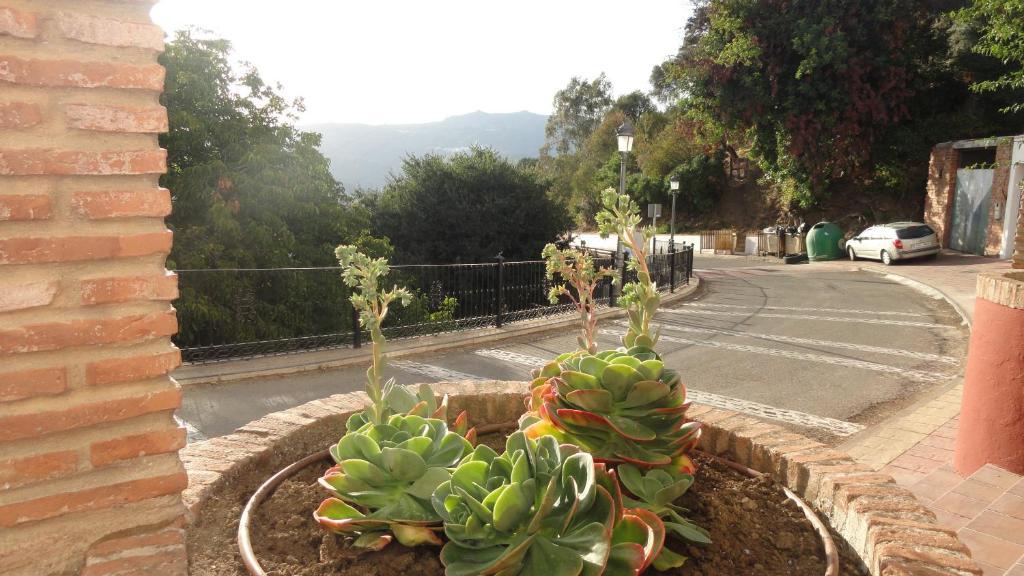 Posada Mirador De Jubrique מראה חיצוני תמונה