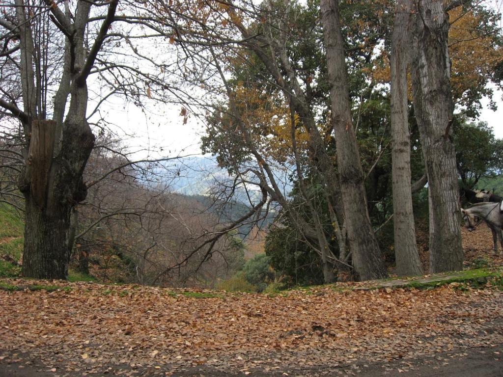 Posada Mirador De Jubrique מראה חיצוני תמונה