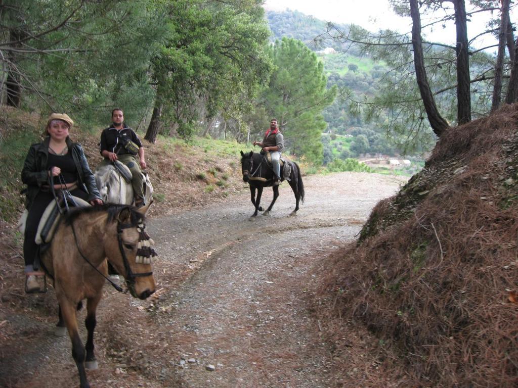 Posada Mirador De Jubrique מראה חיצוני תמונה