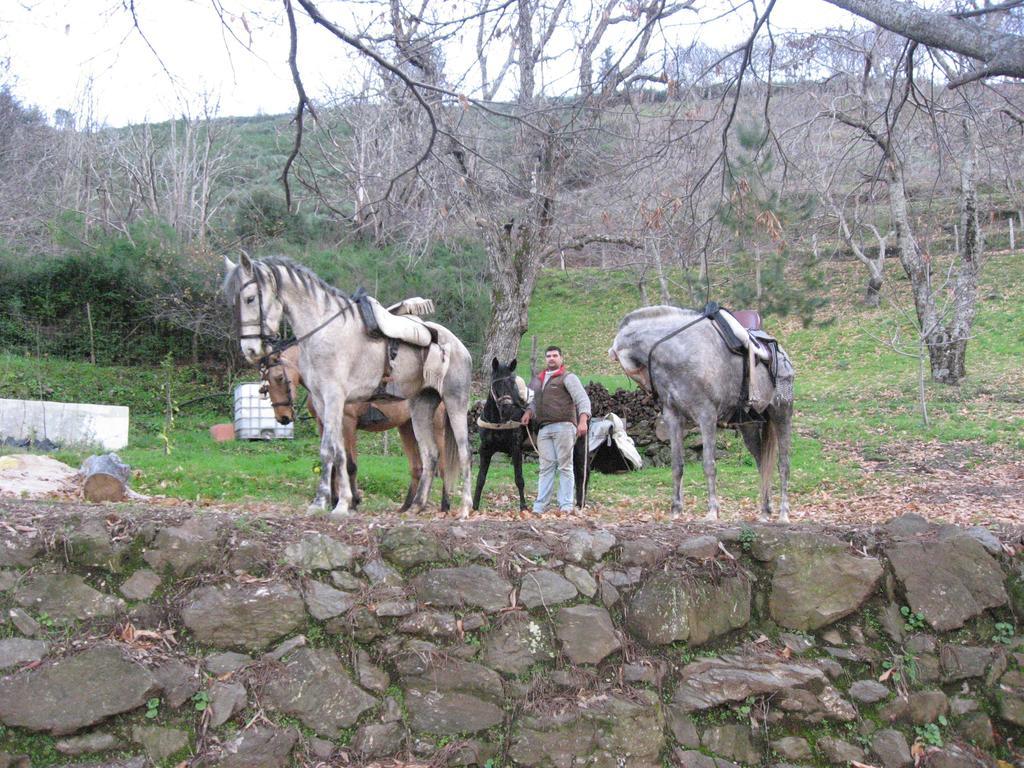Posada Mirador De Jubrique מראה חיצוני תמונה